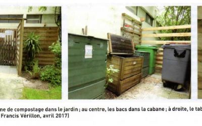 Analyse d’une expérience de six années de compostage collectif en pied d’immeuble parisien