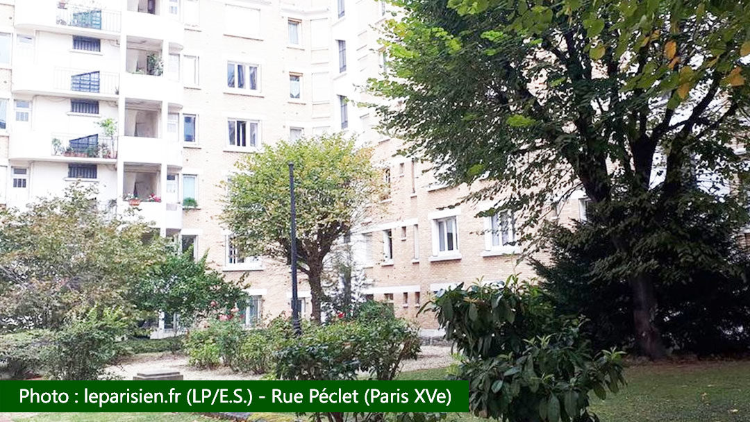 CLCV Paris soutient les locataires – Paris : les locataires de Saint-Lambert ne veulent pas perdre leurs arbres